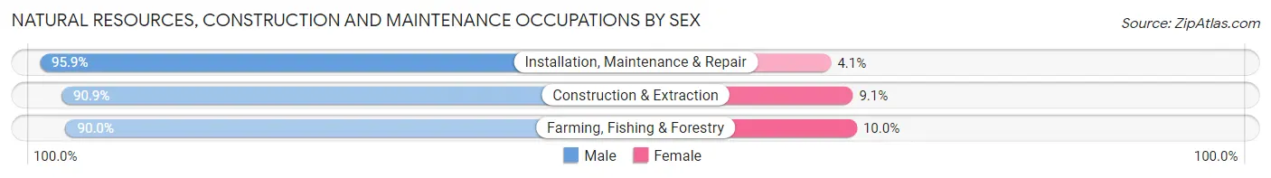 Natural Resources, Construction and Maintenance Occupations by Sex in Ida County