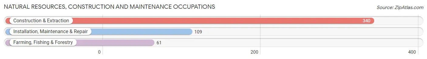 Natural Resources, Construction and Maintenance Occupations in Lucas County