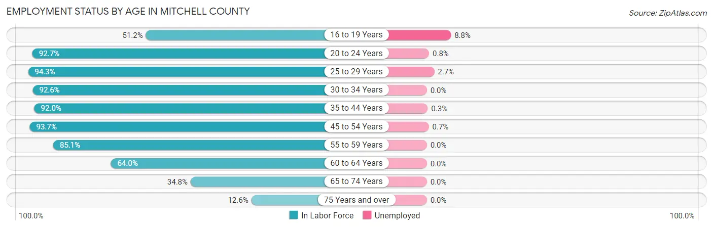 Employment Status by Age in Mitchell County