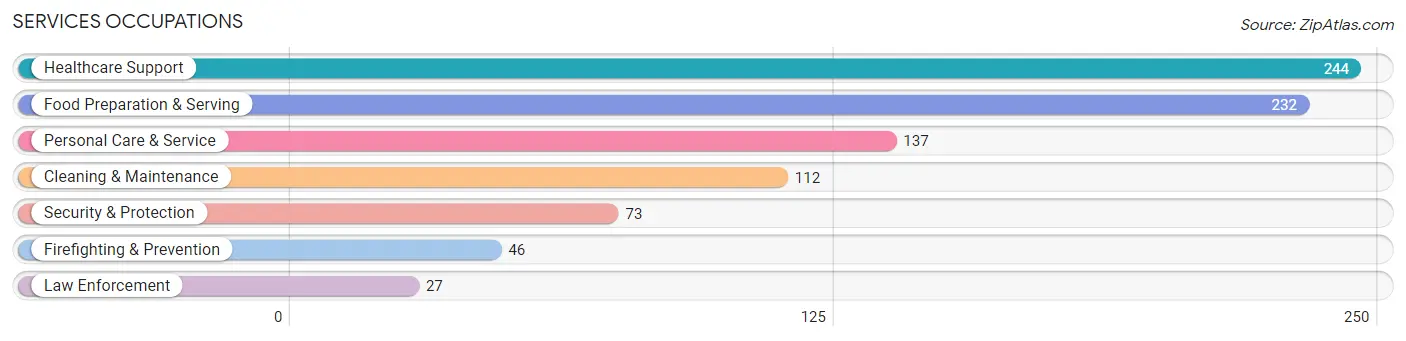 Services Occupations in Mitchell County