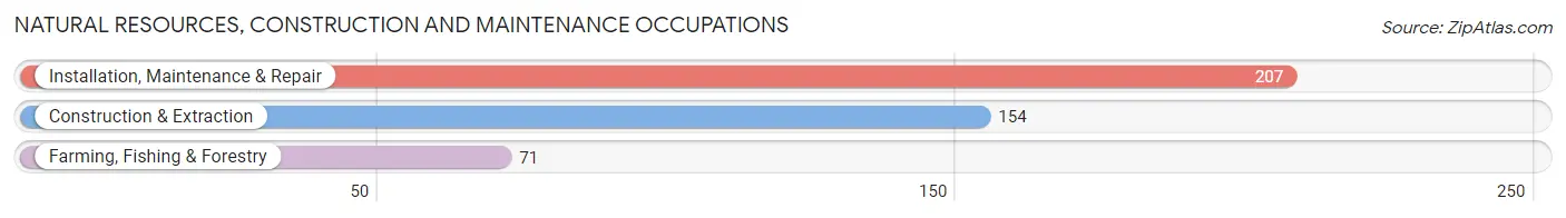 Natural Resources, Construction and Maintenance Occupations in Monroe County