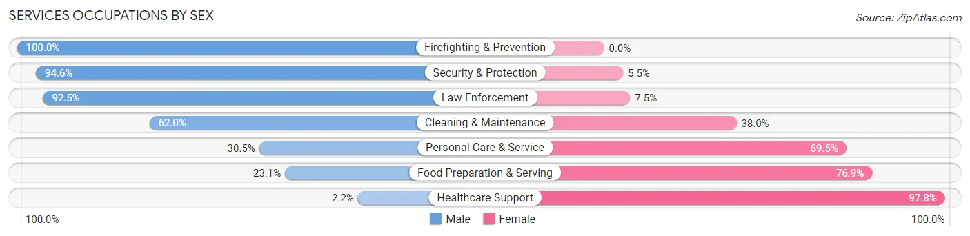 Services Occupations by Sex in Monroe County