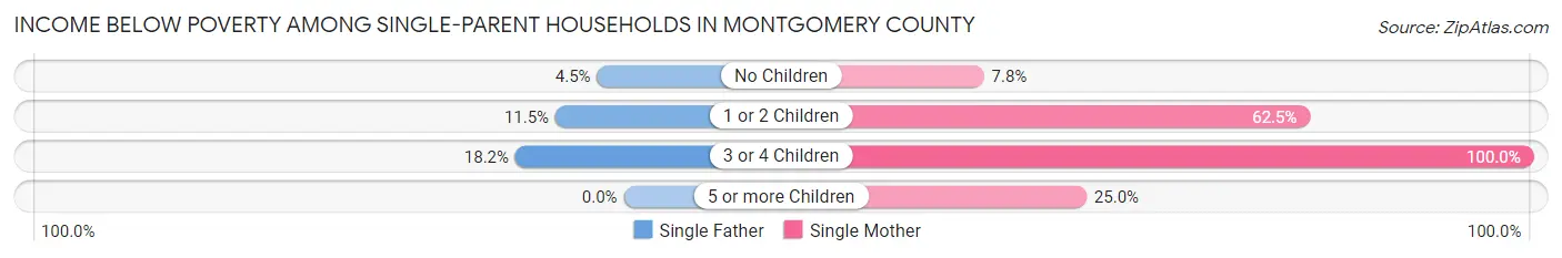 Income Below Poverty Among Single-Parent Households in Montgomery County