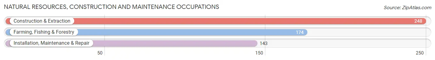 Natural Resources, Construction and Maintenance Occupations in Page County