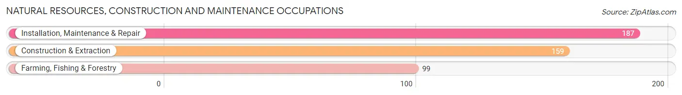Natural Resources, Construction and Maintenance Occupations in Pocahontas County