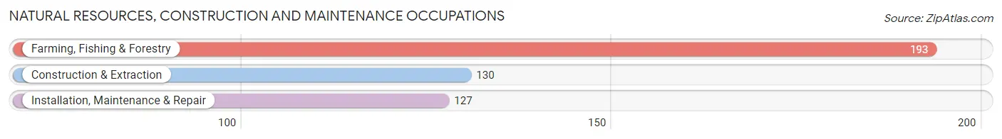 Natural Resources, Construction and Maintenance Occupations in Taylor County