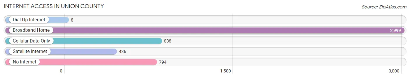 Internet Access in Union County