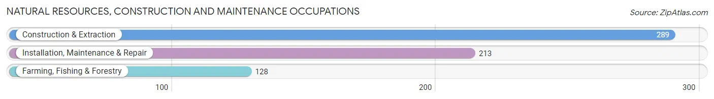 Natural Resources, Construction and Maintenance Occupations in Union County