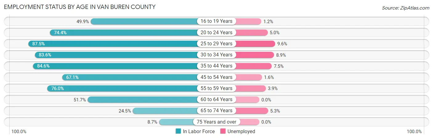 Employment Status by Age in Van Buren County