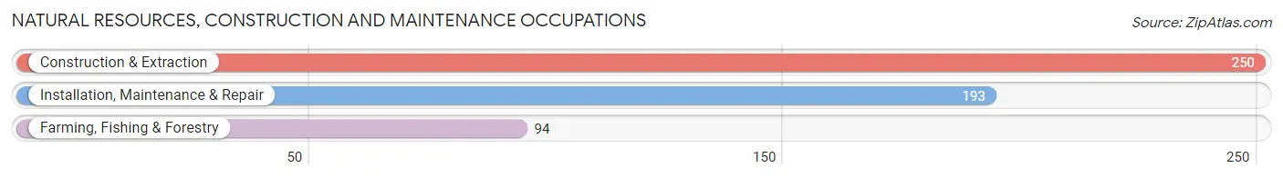 Natural Resources, Construction and Maintenance Occupations in Van Buren County