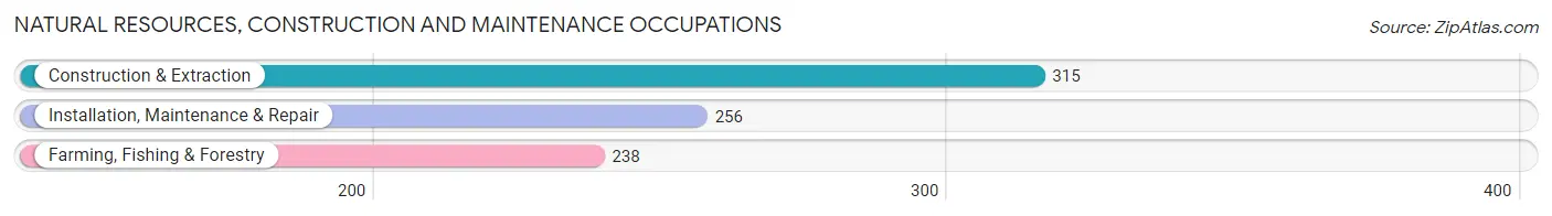 Natural Resources, Construction and Maintenance Occupations in Wright County