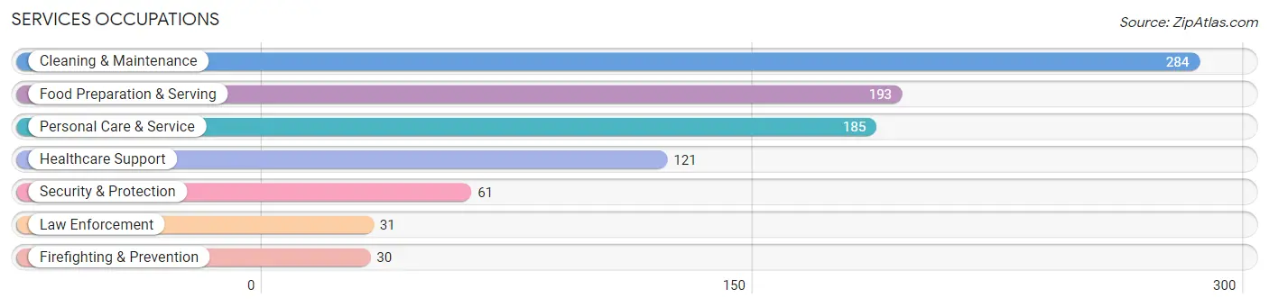 Services Occupations in Wright County