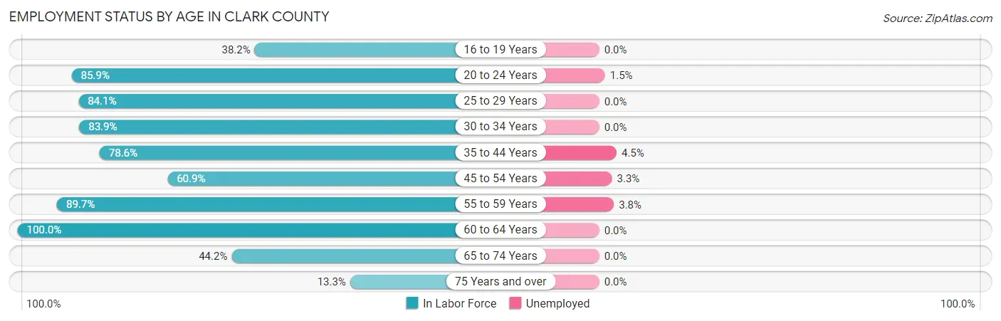 Employment Status by Age in Clark County