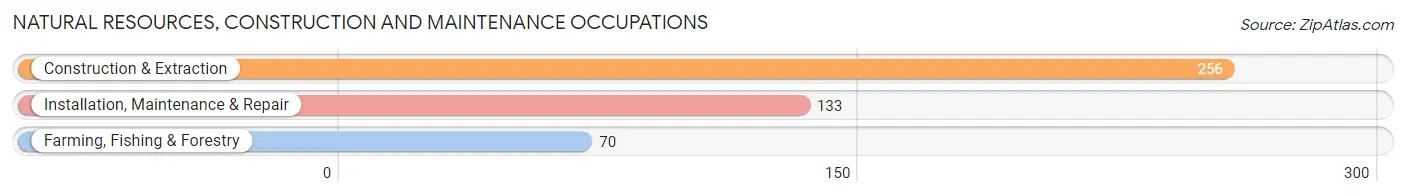 Natural Resources, Construction and Maintenance Occupations in Clearwater County