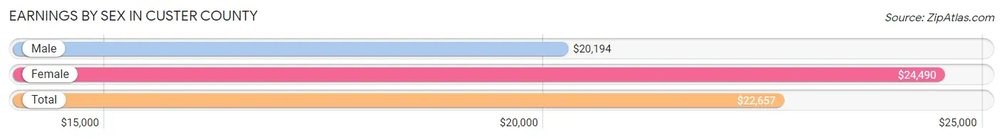 Earnings by Sex in Custer County