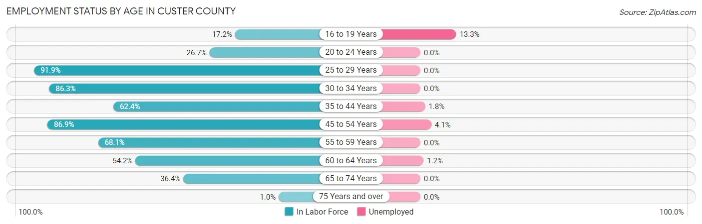 Employment Status by Age in Custer County