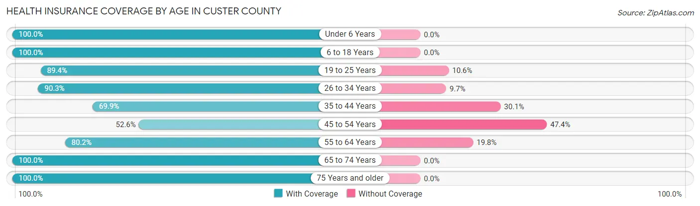 Health Insurance Coverage by Age in Custer County