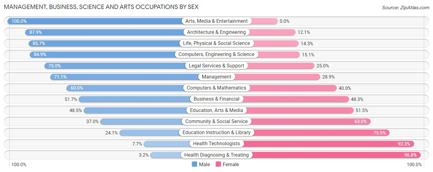 Management, Business, Science and Arts Occupations by Sex in Lewis County
