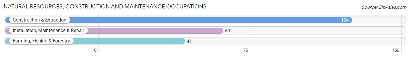 Natural Resources, Construction and Maintenance Occupations in Lewis County