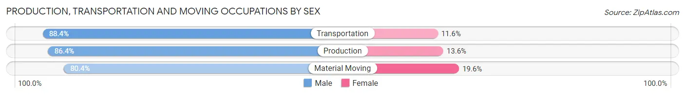 Production, Transportation and Moving Occupations by Sex in Lewis County