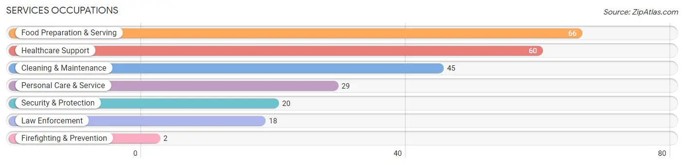 Services Occupations in Lewis County