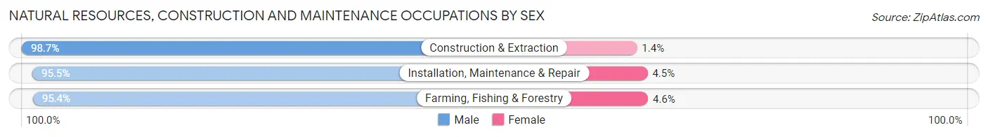Natural Resources, Construction and Maintenance Occupations by Sex in Lincoln County