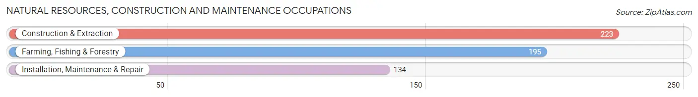 Natural Resources, Construction and Maintenance Occupations in Lincoln County