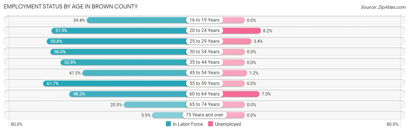 Employment Status by Age in Brown County