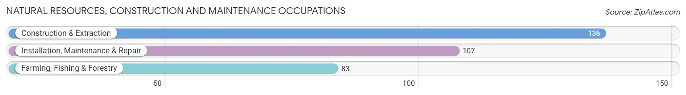 Natural Resources, Construction and Maintenance Occupations in Brown County