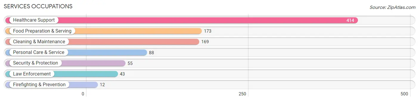 Services Occupations in Clay County
