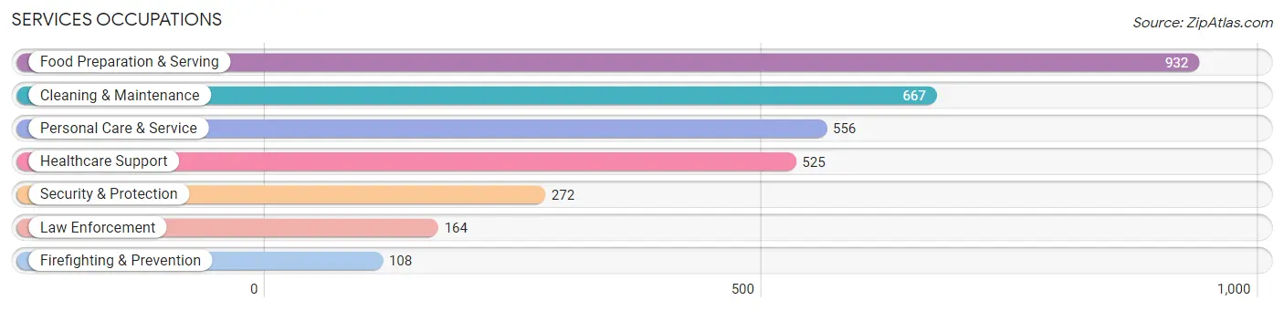 Services Occupations in Clinton County