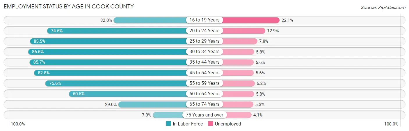 Employment Status by Age in Cook County