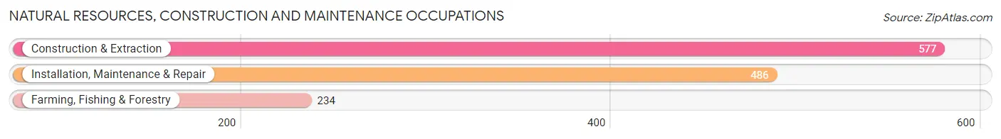 Natural Resources, Construction and Maintenance Occupations in Douglas County