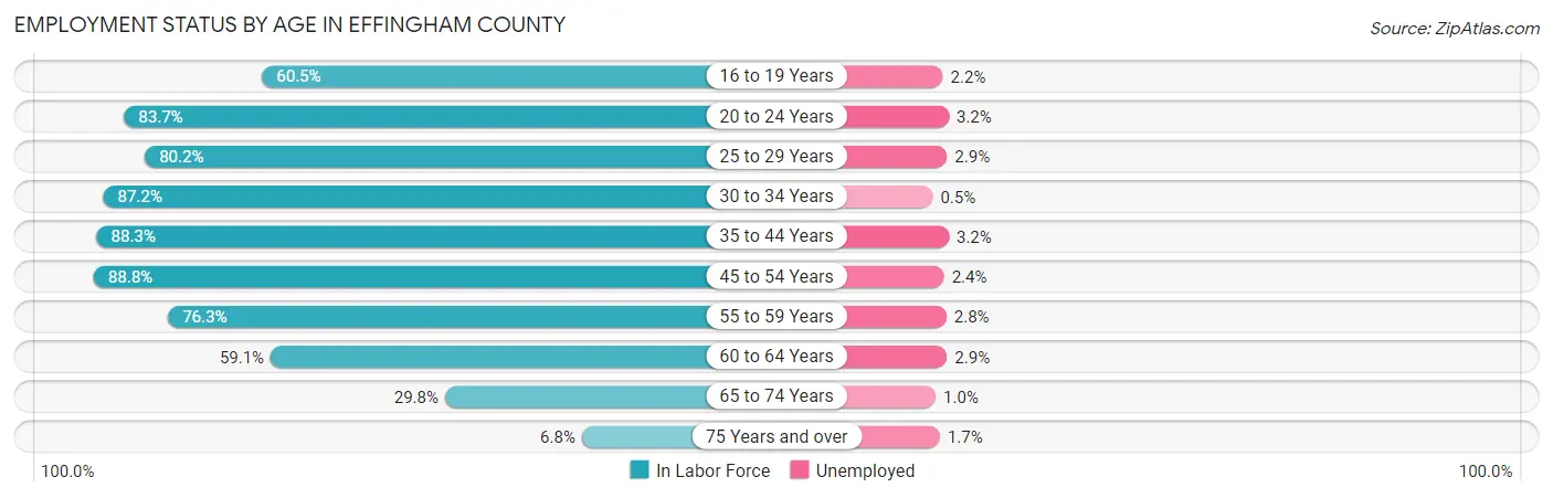 Employment Status by Age in Effingham County