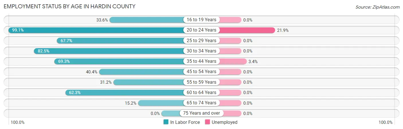 Employment Status by Age in Hardin County
