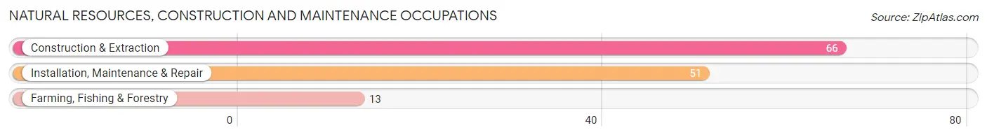 Natural Resources, Construction and Maintenance Occupations in Hardin County