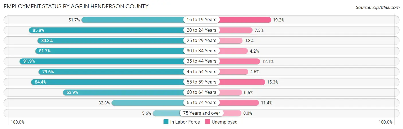 Employment Status by Age in Henderson County