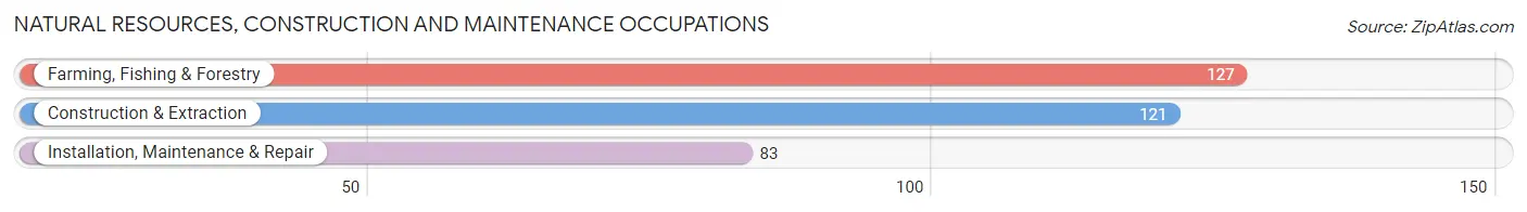 Natural Resources, Construction and Maintenance Occupations in Henderson County