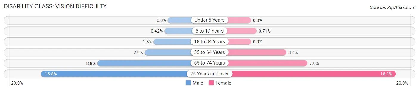 Disability in Henderson County: <span>Vision Difficulty</span>