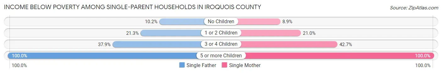 Income Below Poverty Among Single-Parent Households in Iroquois County