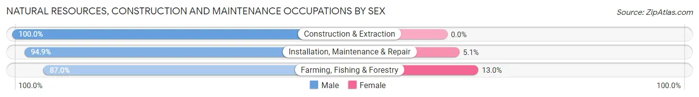 Natural Resources, Construction and Maintenance Occupations by Sex in Iroquois County