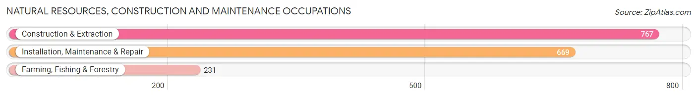 Natural Resources, Construction and Maintenance Occupations in Iroquois County