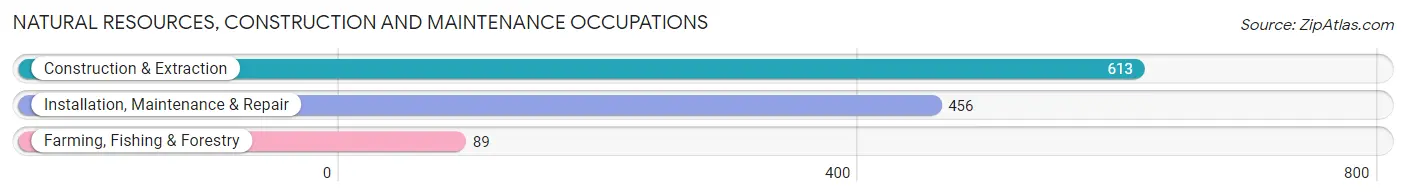 Natural Resources, Construction and Maintenance Occupations in Jo Daviess County