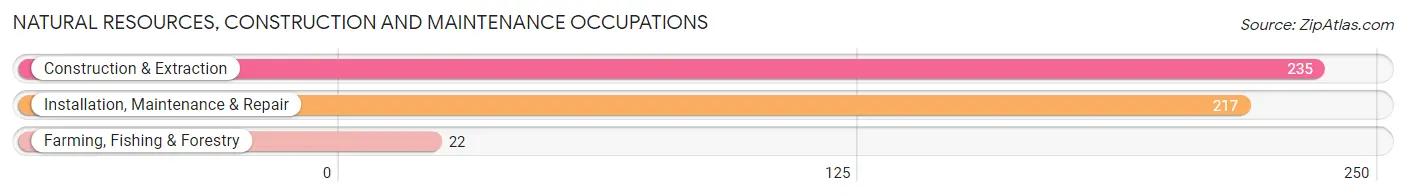 Natural Resources, Construction and Maintenance Occupations in Johnson County