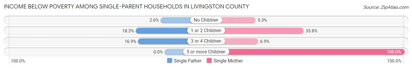 Income Below Poverty Among Single-Parent Households in Livingston County