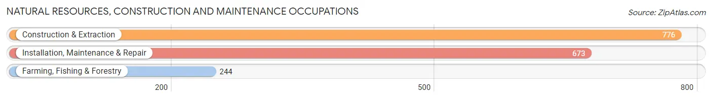 Natural Resources, Construction and Maintenance Occupations in Livingston County