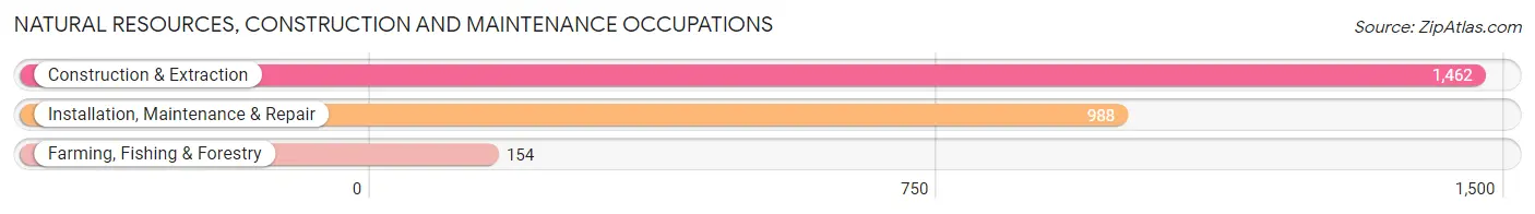 Natural Resources, Construction and Maintenance Occupations in Macoupin County
