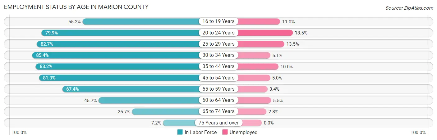 Employment Status by Age in Marion County