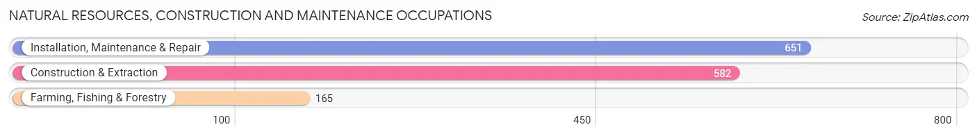 Natural Resources, Construction and Maintenance Occupations in Marion County