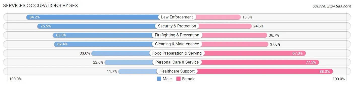 Services Occupations by Sex in Marion County